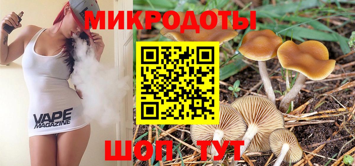 Псилоцибиновые грибы мицелий  Вход с VPN  Кирово-Чепецк 